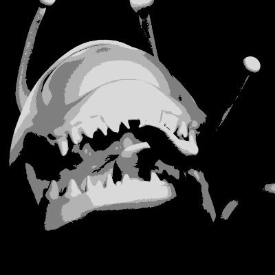 WhYouReading's profile picture. 