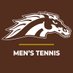 WMU Men's Tennis (@WMUMensTennis) Twitter profile photo