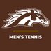 WMU Men's Tennis (@wmumenstennis) Twitter profile photo WMU Men's Tennis (@wmumenstennis) Twitter profile photo