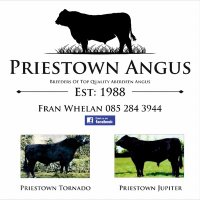 Priestown Angus (@franwhelan5) 's Twitter Profile
