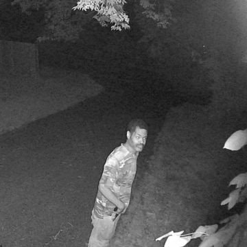 UsseryPete's profile picture. baby I'm back