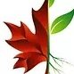 CreateFoods Canada Inc(@createfoods) 's Twitter Profile Photo