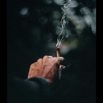 Kendo19993's profile picture. Kendo Og