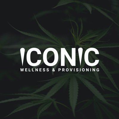 wellness_iconic's profile picture. 