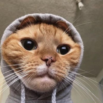 Mat6meiro's profile picture. 