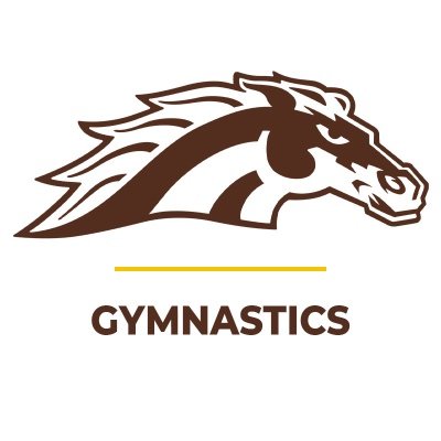Official page of the Western Michigan University Women's Gymnastics Team. Follow us for updates on the team, competition results, and stats! #BroncosReign