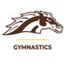 Western Michigan Gymnastics (@WMU_Gymnastics) Twitter profile photo