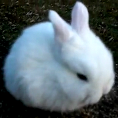 akito yoshikawa/-45 (@yoshikawa45) / X