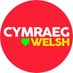 Radyr Cymraeg (@radyr_cymraeg) Twitter profile photo