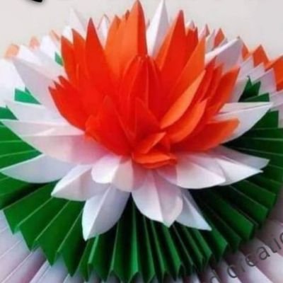 vinilvk999's profile picture. 