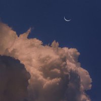 Manayer..⚕️ (@manayer_149) Twitter profile photo