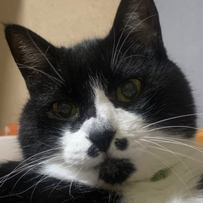 美術系卒文系脳の食いしんぼう農家。農家に生まれたのに種まきしたことなかった人。父他界により『食べる専門』から『栽培もして食べる人』に。季節にあわせ色々作ってます。ワンオペ女性農家。規模ちっちゃいマイクロ農家。露地畑1.2ha。元無農薬・無化成肥料農家。付き合いのない鍵アカからのフォローは基本的にブロックしています。