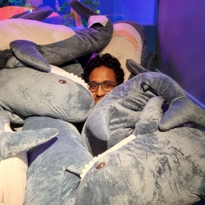 NCPlayz's profile picture. Software Engineer @midjourney!