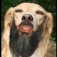 REI DO LIMBO (@medf_27) 's Twitter Profile Photo