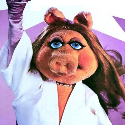 MuppetPictures Profile Picture
