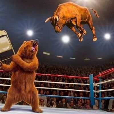 panozzo_emanuel's profile picture. 