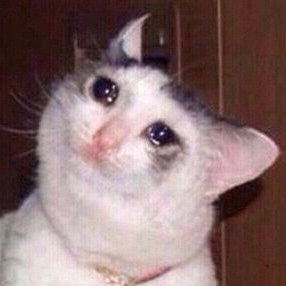 AshutoshDudhane's profile picture. 🇮🇳