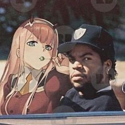 YukaDelCampo's profile picture. 20
He/him