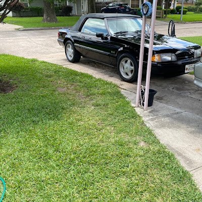 MarkVaz47882154's profile picture. 