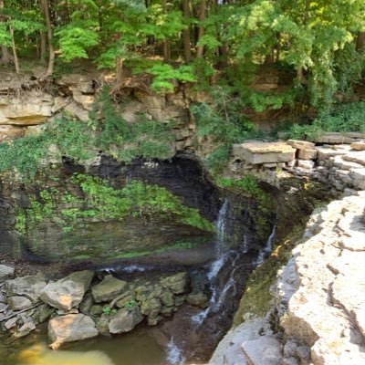 gatonegrojs's profile picture. 