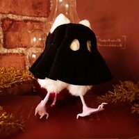 妃惺(キサ)🖤💜🎃 (@sma_kisa) 's Twitter Profile Photo