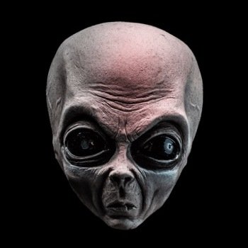 GorGorGorGor777's profile picture. 