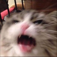 A1NotFound (@a1notfound) 's Twitter Profile