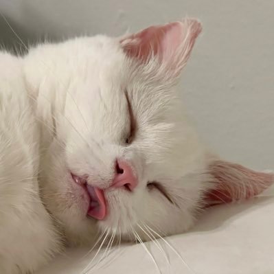 rachmhutch's profile picture. nothing to be seen here