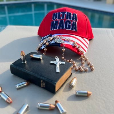 Rosary Extremist • Latin Mass • family ❤️ Pets⚡️Tampa Bay Lightning🌴 Naples 🐊 Everglades • Swamp Life Constitutional Conservative 🇺🇸 #MAGA • #FreeAssangeNow