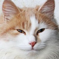 SpencilBoy (@spencilboy) 's Twitter Profile