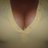 BellaMorena69's profile image