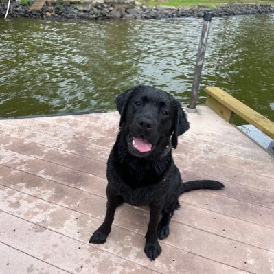 Candoteach21's profile picture. 