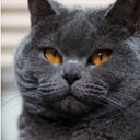 daniel armijo - @daniela81970554 - Twitter