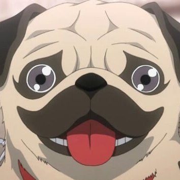 Laughingpug2's profile picture. I'm nobody and I like it that way