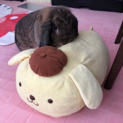 夜弐さんのプロフィール画像