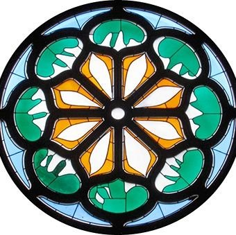 🌟Dila🐜 Profile