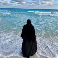 جهاد سامي (@gehadsa81581710) 's Twitter Profile