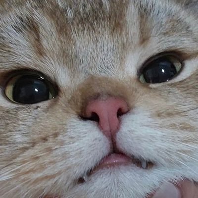 puno48_さんのプロフィール画像