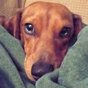 Duane Herman - @DuaneHerman68 - Twitter