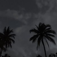 unknown (@ladlukos) 's Twitter Profile