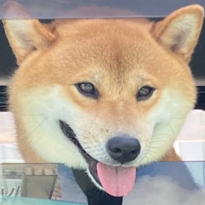 ハイサイ!海釣りをメインに活動しているちゅんたいちょーです🏖好きな釣りスタイルは夕飯にする小物を狙いつつ大物仕掛けをぶっ込むスタイルです🎣 YouTubeも配信してますので良かったらご覧下さい🙇チャンネル登録してくれると嬉しいです😊🫡