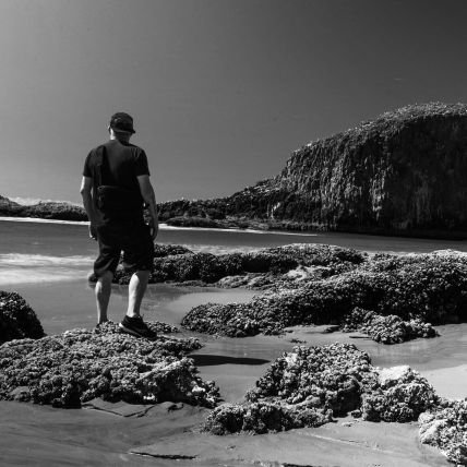 hybrid605's profile picture. 