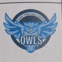 Massey Street PS (@masseystreet_ps) 's Twitter Profile