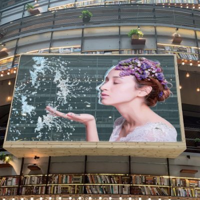 XieKayla11's profile picture. 