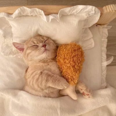 _tarupn's profile picture. 🖤