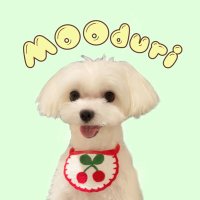 モーちゃん (@mooduri_) Twitter profile photo