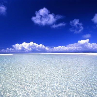 tassp500's profile picture. 