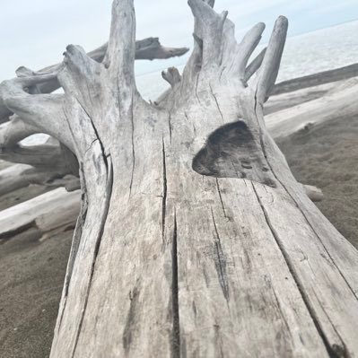 amandagetsmail's profile picture. 