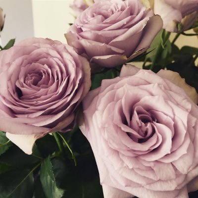 CharlEscreet's profile picture. 