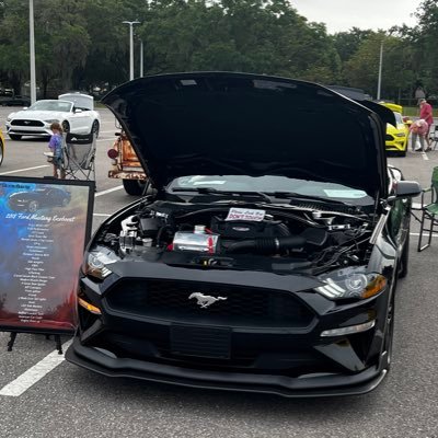 Ecoboost powered by Ford Performance, CP-e, Turbosmart, K&N  Insta: @ampedstang